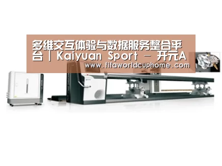 视频展示一