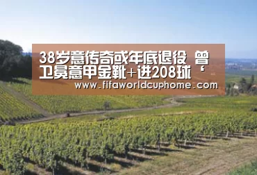 38岁意传奇或年底退役 曾卫冕意甲金靴+进208球‘开元app官方入口’(图2) 开元appapp