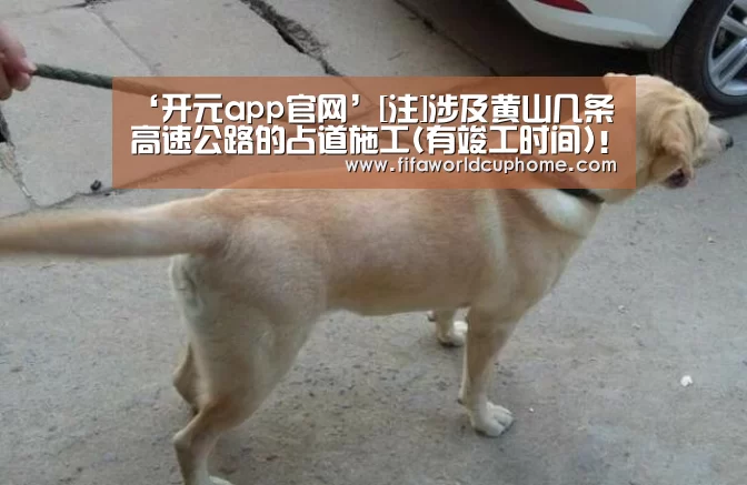 开元appapp