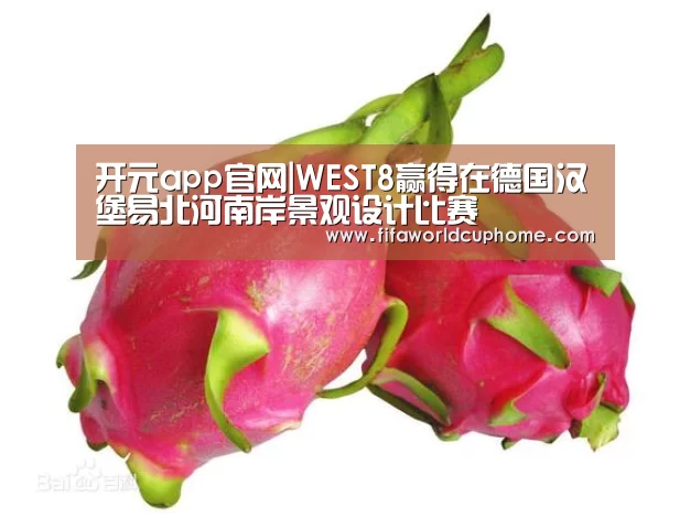 开元app官网|WEST8赢得在德国汉堡易北河南岸景观设计比赛(图2) 开元app