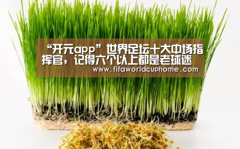 “开元app”世界足坛十大中场指挥官,记得六个以上都是老球迷(图3) 开元app